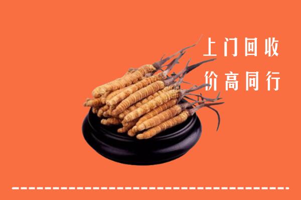 高价求购：北京市门头沟回收散虫草