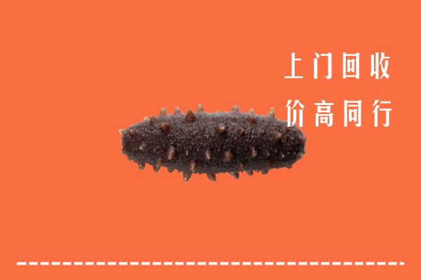 高价求购：北京市门头沟回收海参