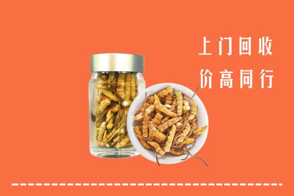 北京市门头沟高价回收冬虫夏草
